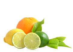 Flavor and Fragrances Flavor and Fragrances